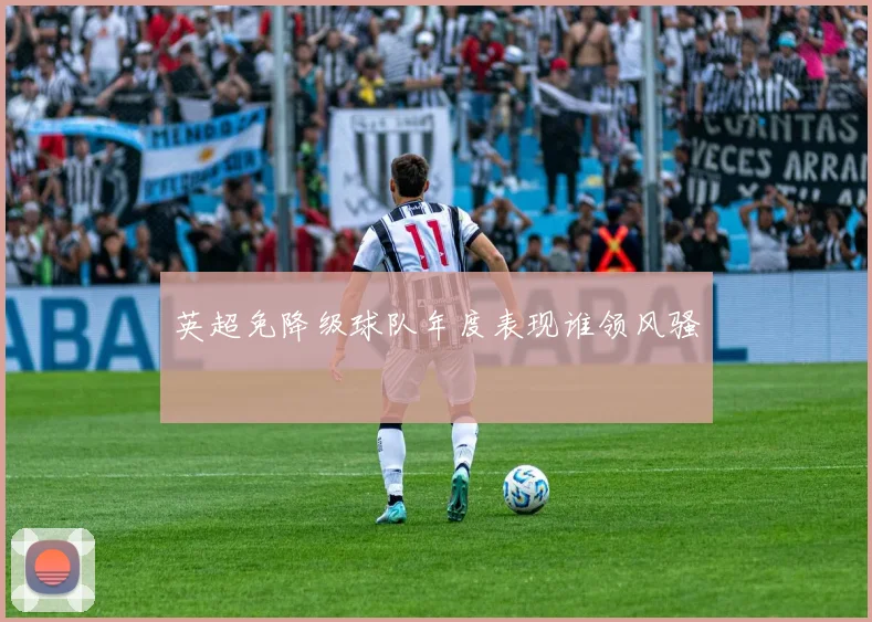 英超免降级球队年度表现谁领风骚