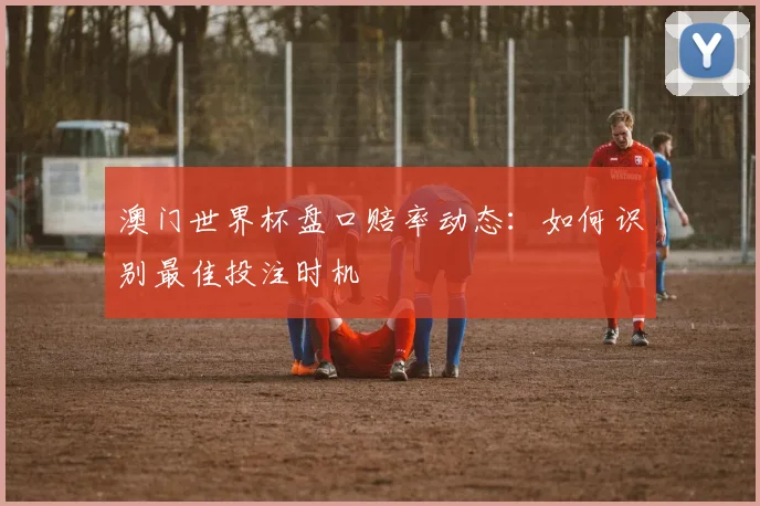 澳门世界杯盘口赔率动态：如何识别最佳投注时机