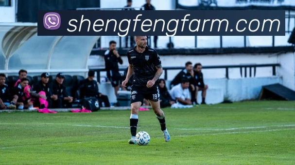 AI Risk Control